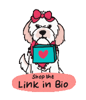 Link In Bio Bailey Sticker