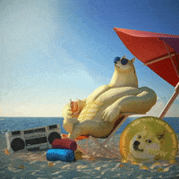 privateislandtv loop crypto cryptocurrency doge GIF