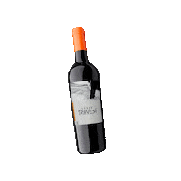Wine Sticker by Rondo del Valle