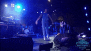 pitchfork music festival shamir GIF by Pitchfork