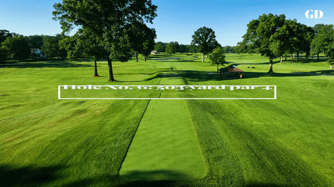 Co13man giphyupload GIF