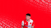 Football Soccer GIF by SK Slavia Praha
