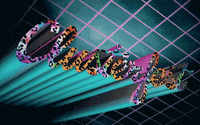 clusterfest clusterfest GIF