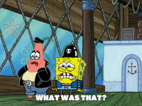 season 4 GIF by SpongeBob SquarePants