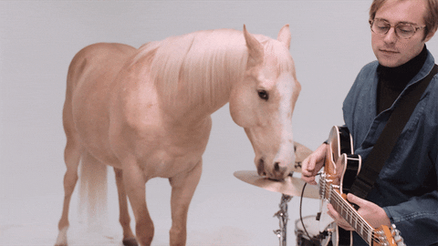 music video band GIF by Domino Recording Co.