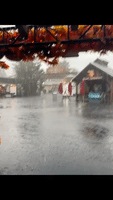 Rain Drenches Massachusetts Six Flags Amid Severe Thunderstorm