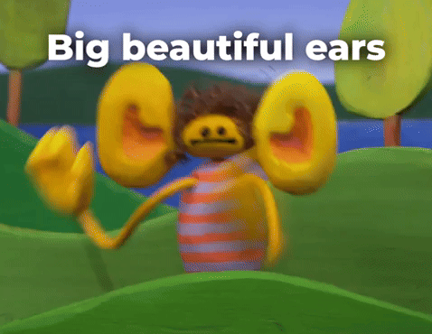 Big beautiful ears
