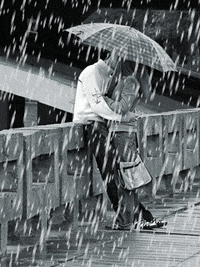 love GIF