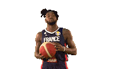 France Game Sticker by FIBA