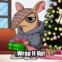 Wrap It Up Winter GIF by Chillo Dillo