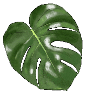 Chelcieelise happy green earth plant Sticker
