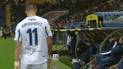 Hi Five Football GIF by FC Dynamo Moscow
