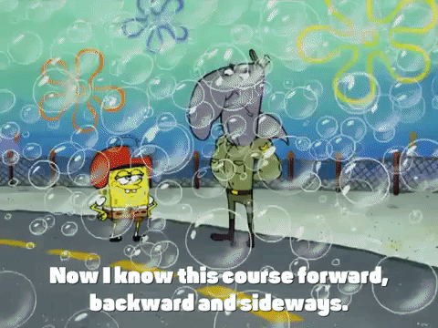 season 4 krusty towers GIF by SpongeBob SquarePants