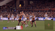 round 17 afl GIF by Adelaide Crows