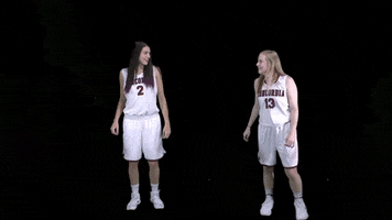 basketball GIF by CUCougars