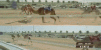 Sad Racing GIF by FYFT