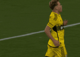 Regular Season Sport GIF by Major League Soccer