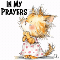 Kitten Praying For You GIF