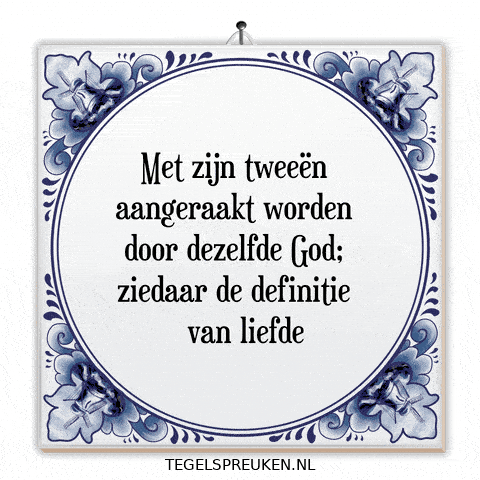 Humor Nl GIF by Tegelspreuken.nl