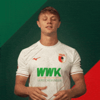 Football Robert GIF by FC Augsburg 1907