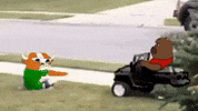 Stock Mumu GIF by Bobo Memes