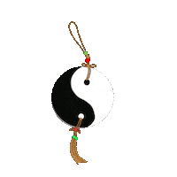 Taichi Sticker by chinoargentina
