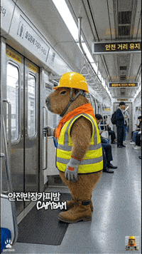 Ride Subway GIF