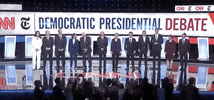 Demdebate GIF by GIPHY News