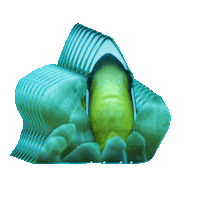 Think No Worries Sticker by DiveHurghada