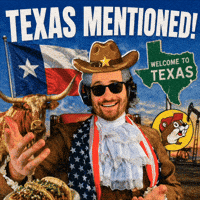 Texas Flag GIF