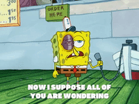 season 5 blackened sponge GIF by SpongeBob SquarePants