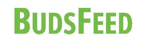 budsfeed giphyupload logo bud budsfeed Sticker