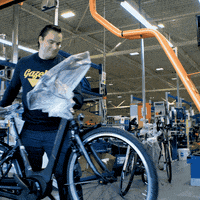 Koninklijke_Gazelle  GIF