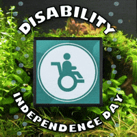 Disabilty GIF