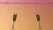 Maria Romania GIF by echilibrultau