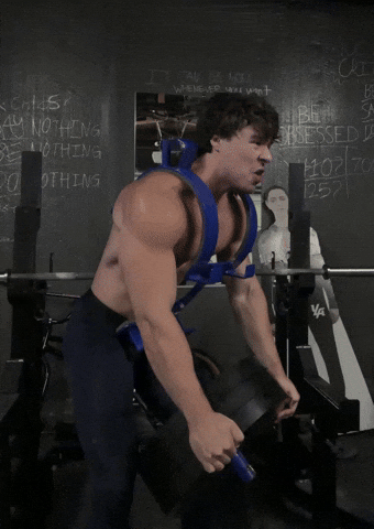 Aesthetics Lifting GIF