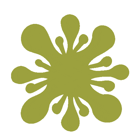 Flower Power Star Sticker