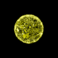 the eye art GIF by Re Modernist