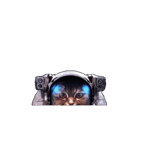Space Cat Sticker by BeeCat Creative