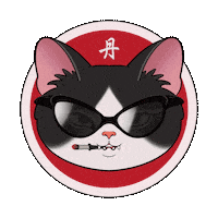 Cat Smoking Sticker