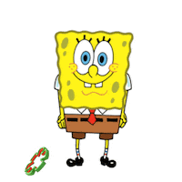 Bob Esponja Sticker by Nickelodeon International