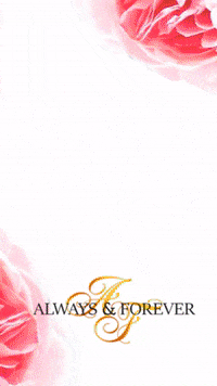 alwaysandforeverbridal_int wereallinthistogether GIF