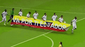 Copa Libertadores Ecuador GIF by Jonathanldu