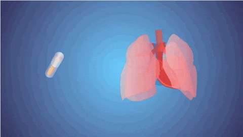 medicine lungs GIF by Harvard Medical School