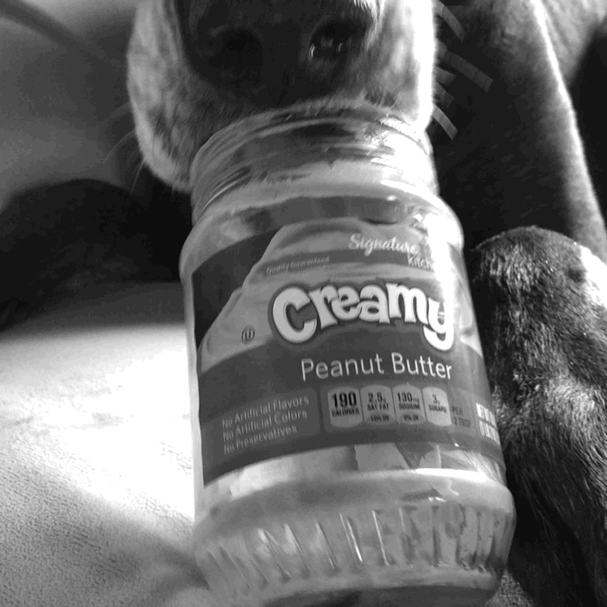 giphyupload peanut butter everydaystella GIF