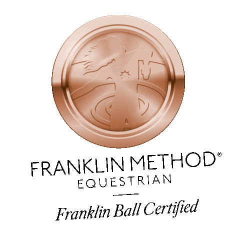 Paardenmiep paard en miep franklin method equestrian franklin method paardenmiep Sticker