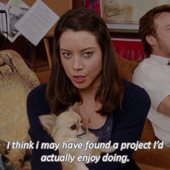 parks and recreation GIF
