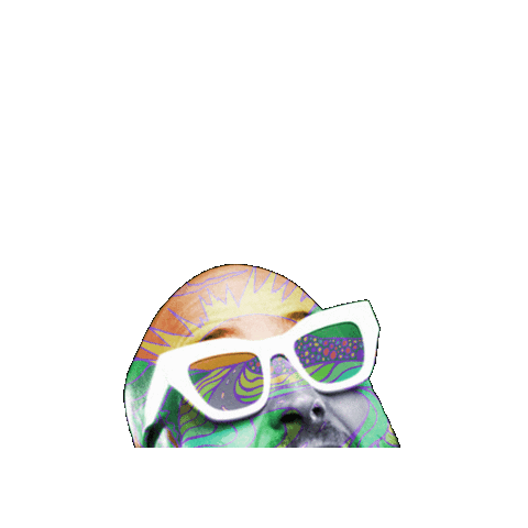TriipFestival giphygifmaker summer trippy festival Sticker