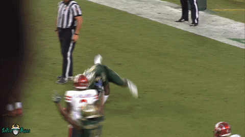 Quinton Flowers Touchdown GIF by SoFloBulls