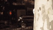 Film Comedy GIF by Twisted Mirror TV